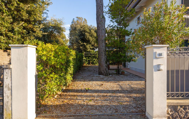 Michelangelo I - Photo 9