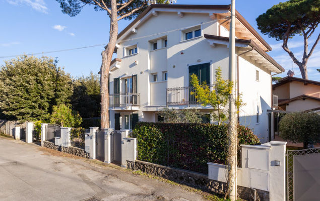 Michelangelo I - Photo 10