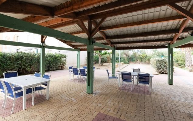 Primavera - Photo 10