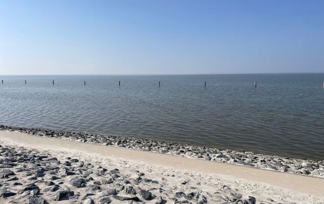 Eisvogelnest am Norder Tief - Photo 55