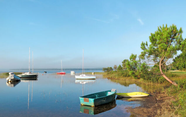 Les Cracks - Les As - Photo 25