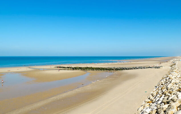 Les Cracks - Les As - Photo 26