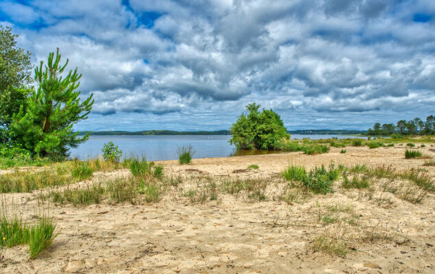 Les Cracks - Les As - Photo 31