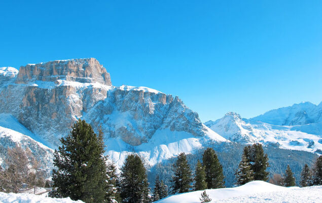 Cesa Galadriel - Photo 35