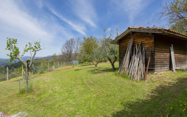 delle Stelle - Photo 23