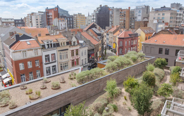 Rooftop Breeze - Photo 29