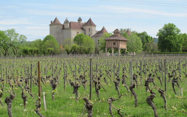 Le Champ du Lac - Photo 15